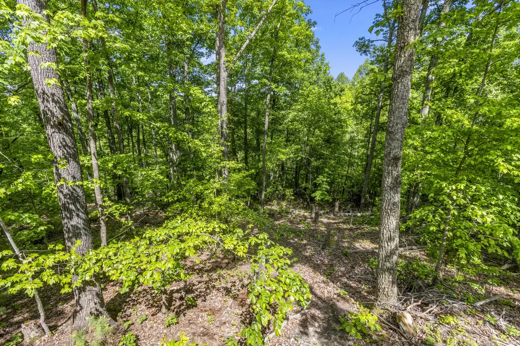 1237B High Rock Road Stanton KY 40380