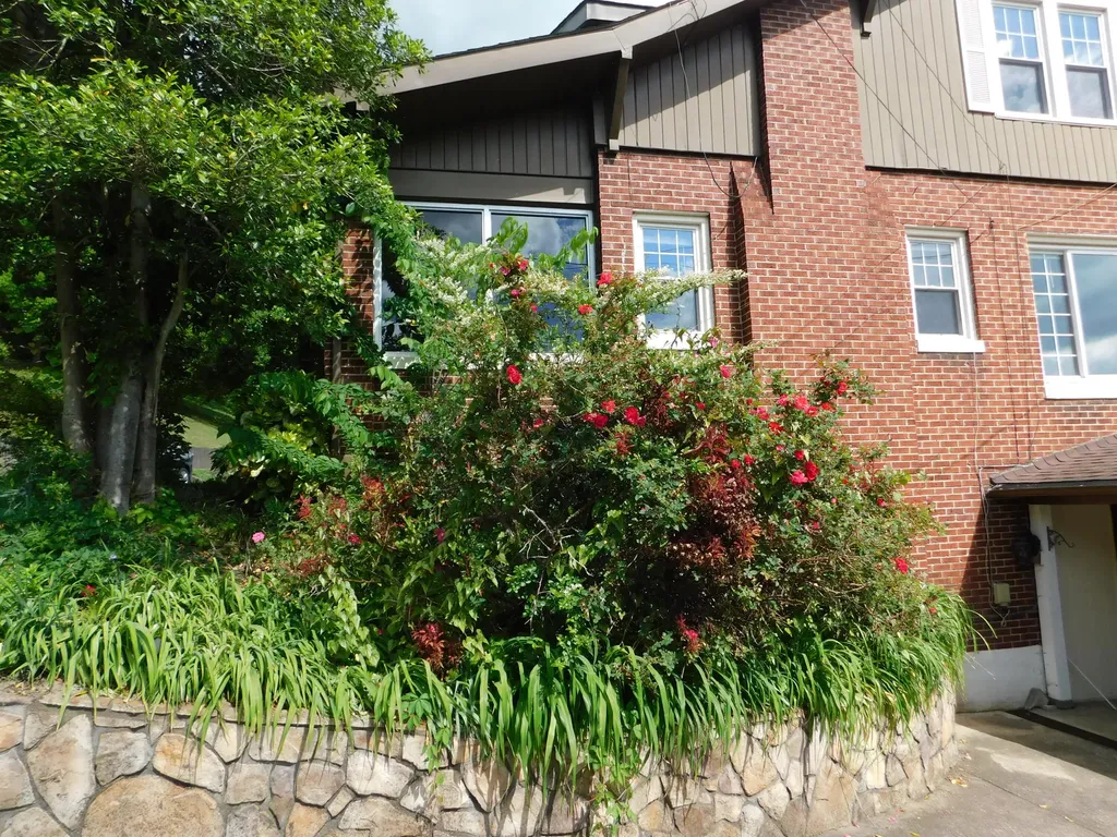 306 Ivy Street Harlan KY 40831