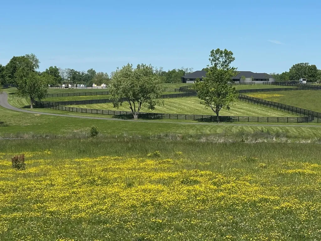 10 Acres Mount Horeb Pike Georgetown KY 40324
