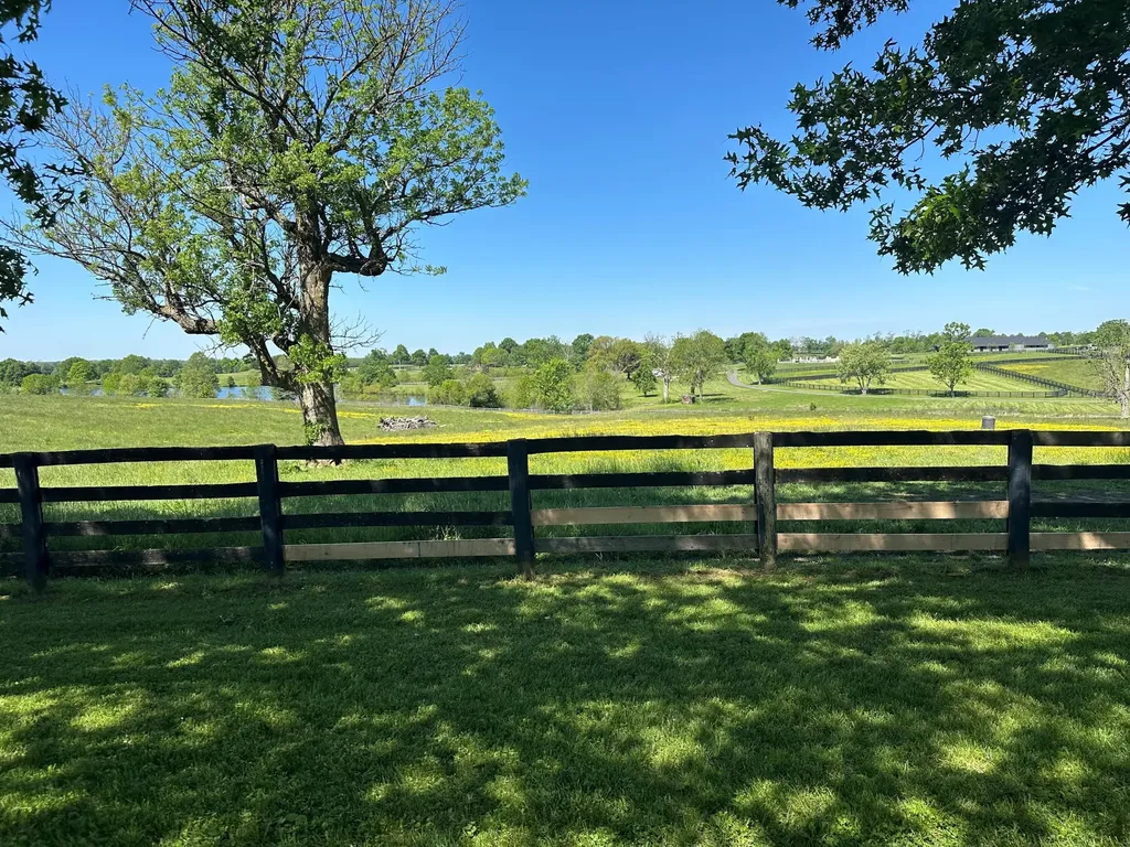 10 Acres Mount Horeb Pike Georgetown KY 40324