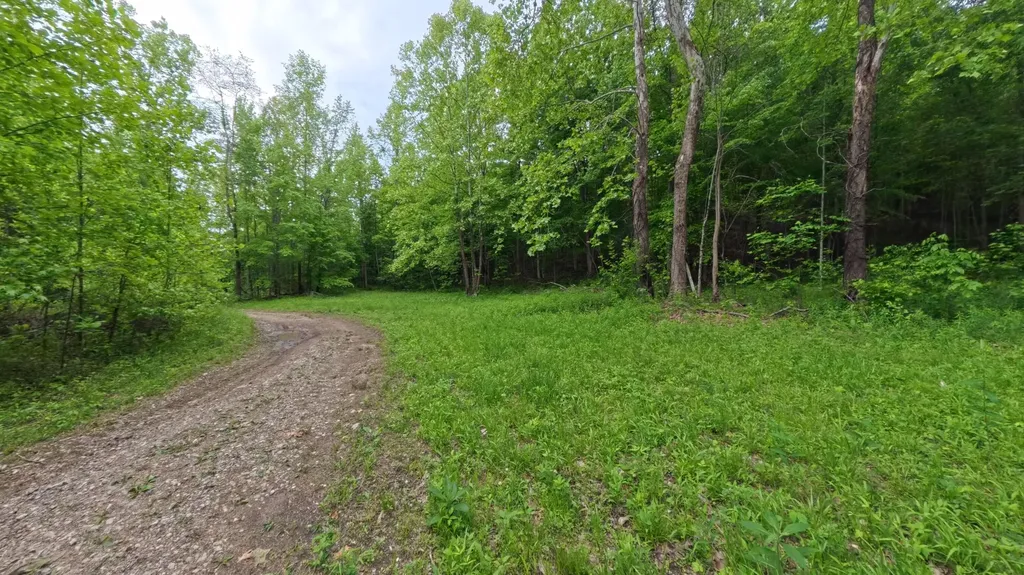 339 Cow Creek Road Ravenna KY 40472