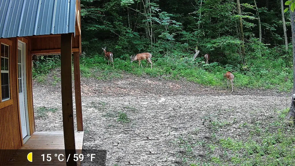 339 Cow Creek Road Ravenna KY 40472