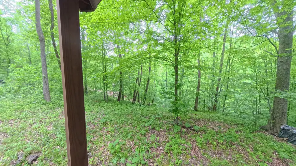 339 Cow Creek Road Ravenna KY 40472