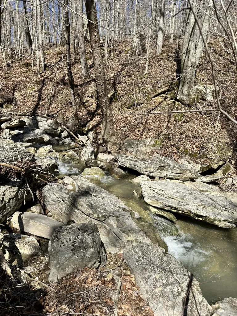 339 Cow Creek Road Ravenna KY 40472