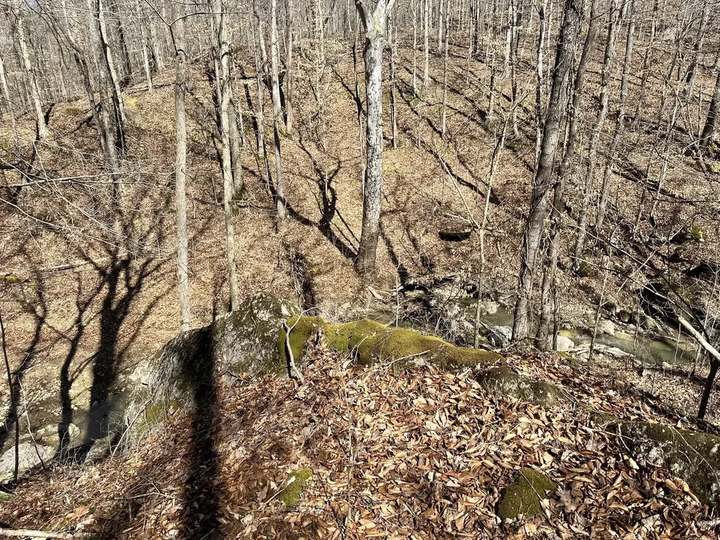 339 Cow Creek Road Ravenna KY 40472