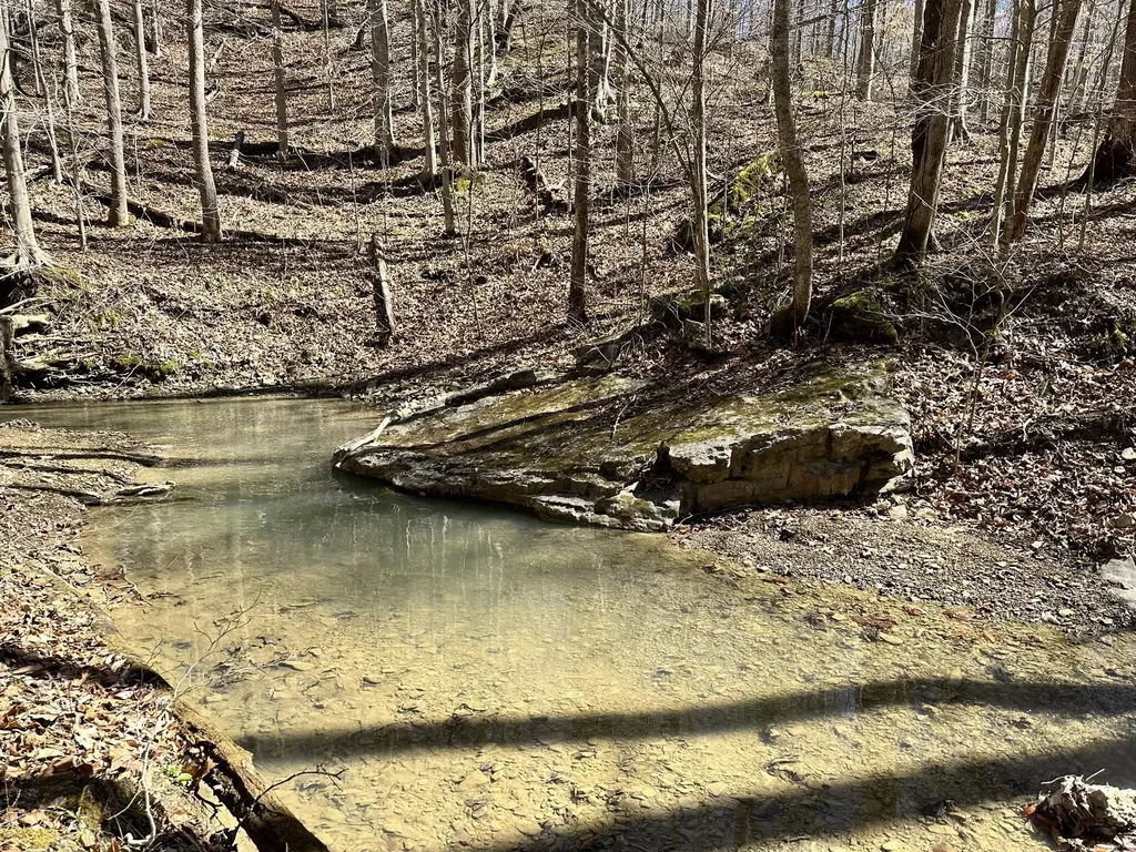 339 Cow Creek Road Ravenna KY 40472