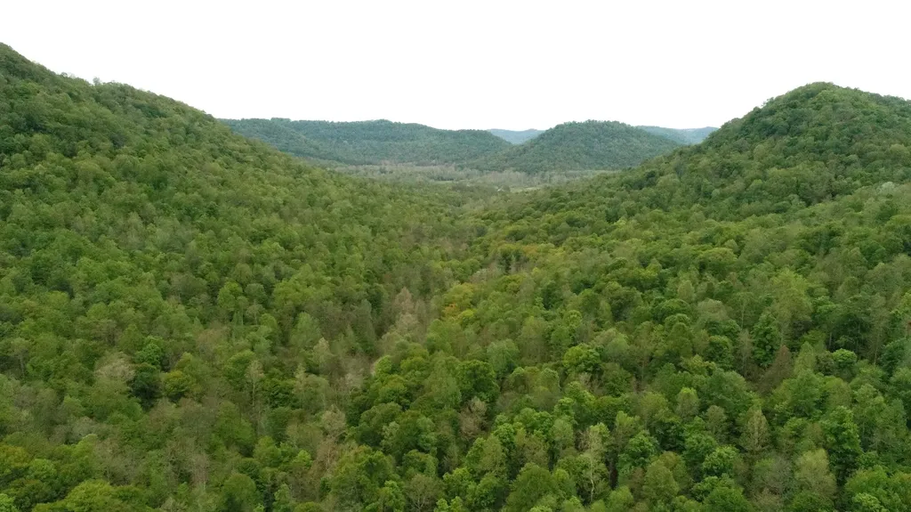 339 Cow Creek Road Ravenna KY 40472