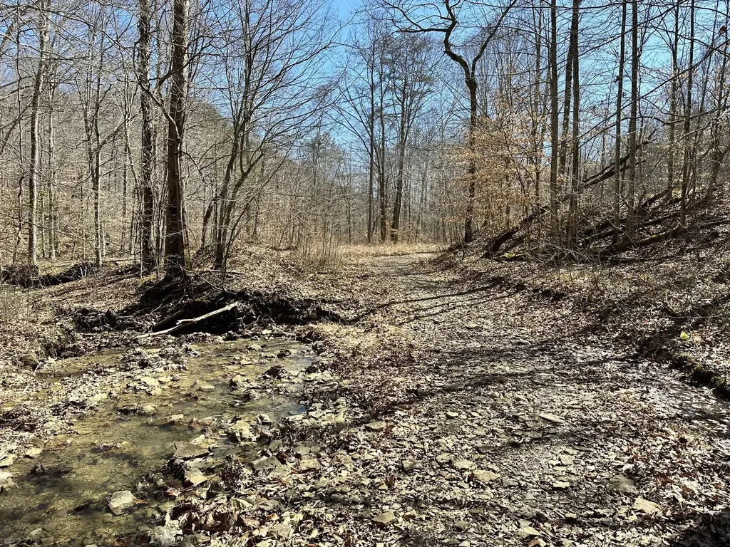339 Cow Creek Road Ravenna KY 40472