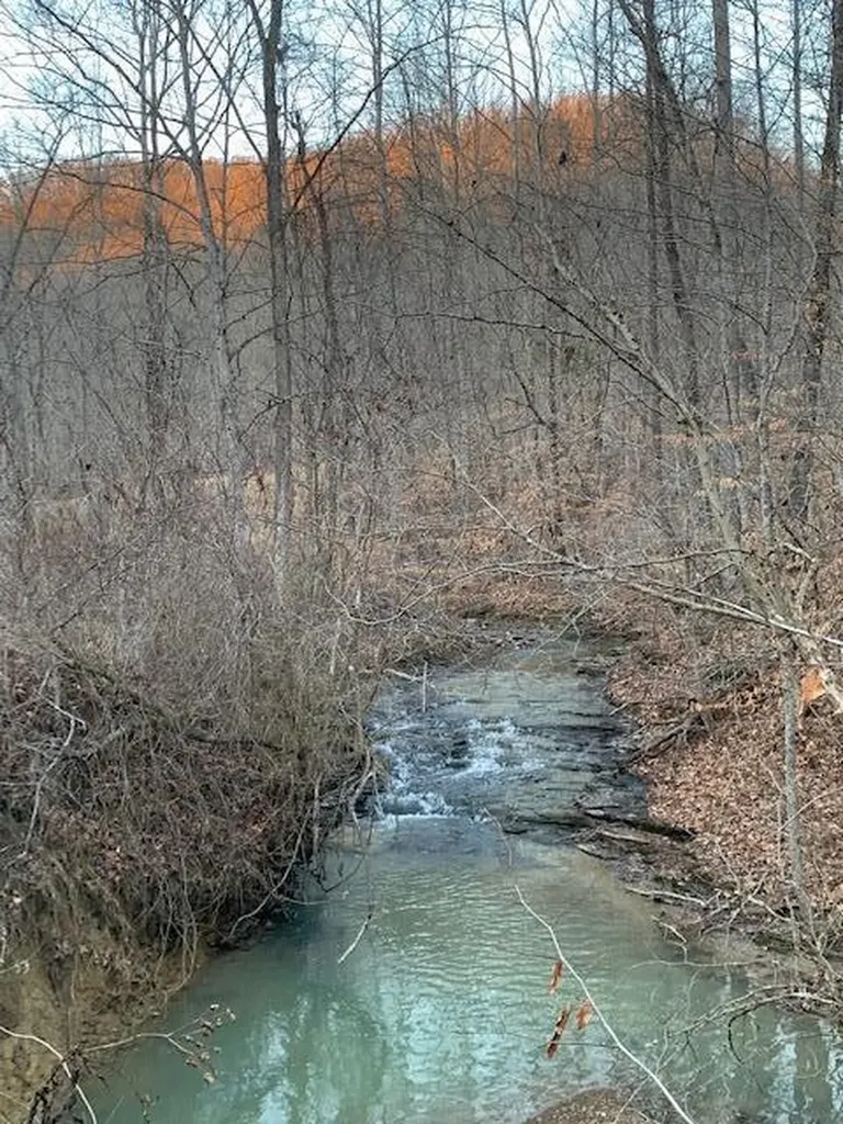 339 Cow Creek Road Ravenna KY 40472