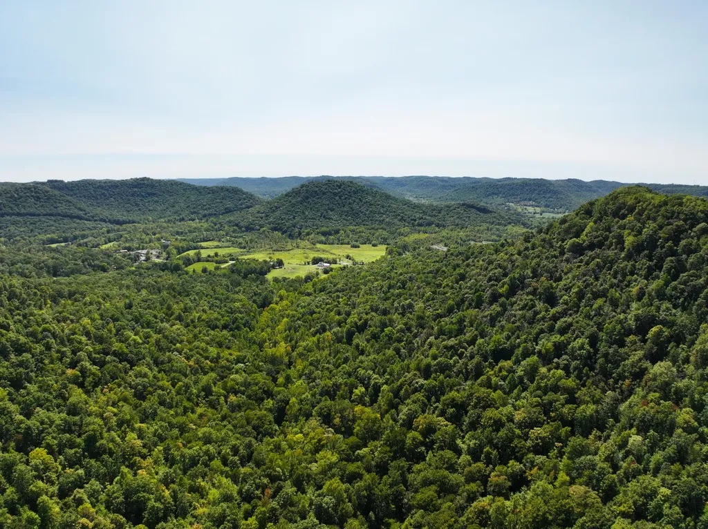339 Cow Creek Road Ravenna KY 40472