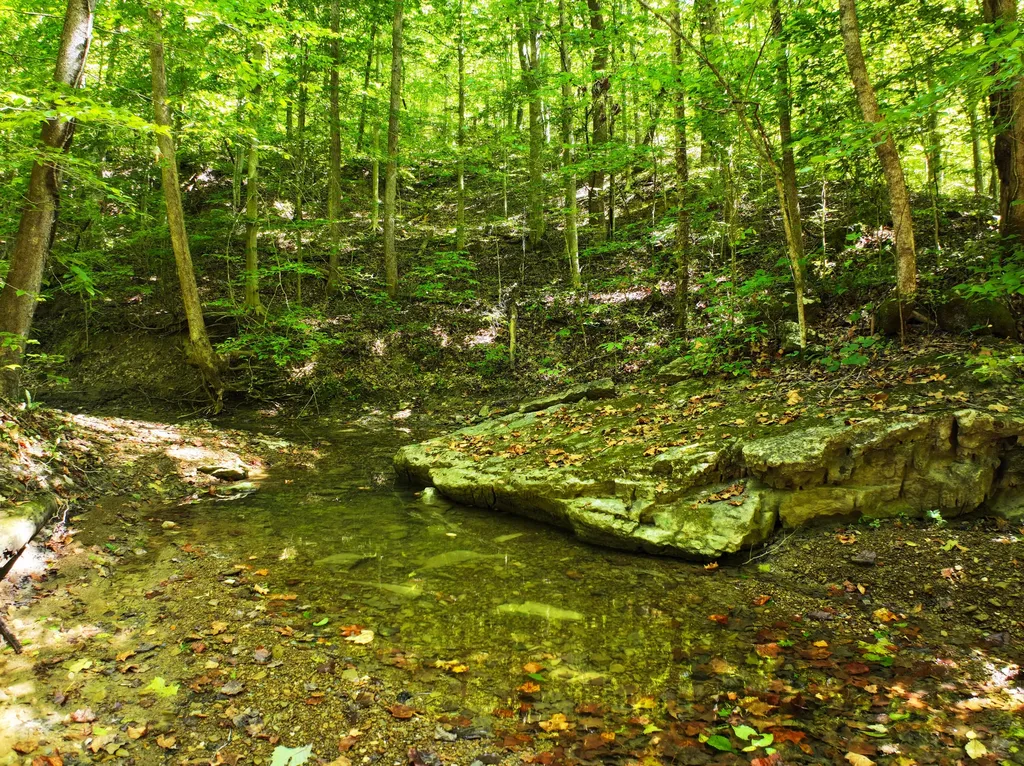 339 Cow Creek Road Ravenna KY 40472