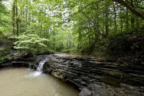 339 Cow Creek Road Ravenna KY 40472