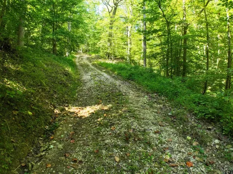 339 Cow Creek Road Ravenna KY 40472
