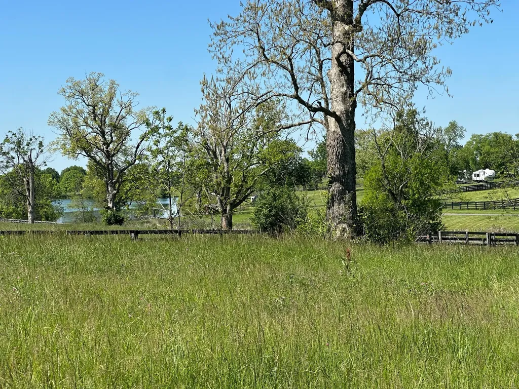 5.2 Acres On Carrick Pike Georgetown KY 40324