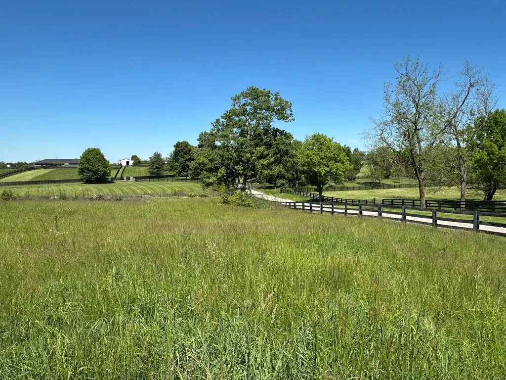 5.2 Acres On Carrick Pike Georgetown KY 40324