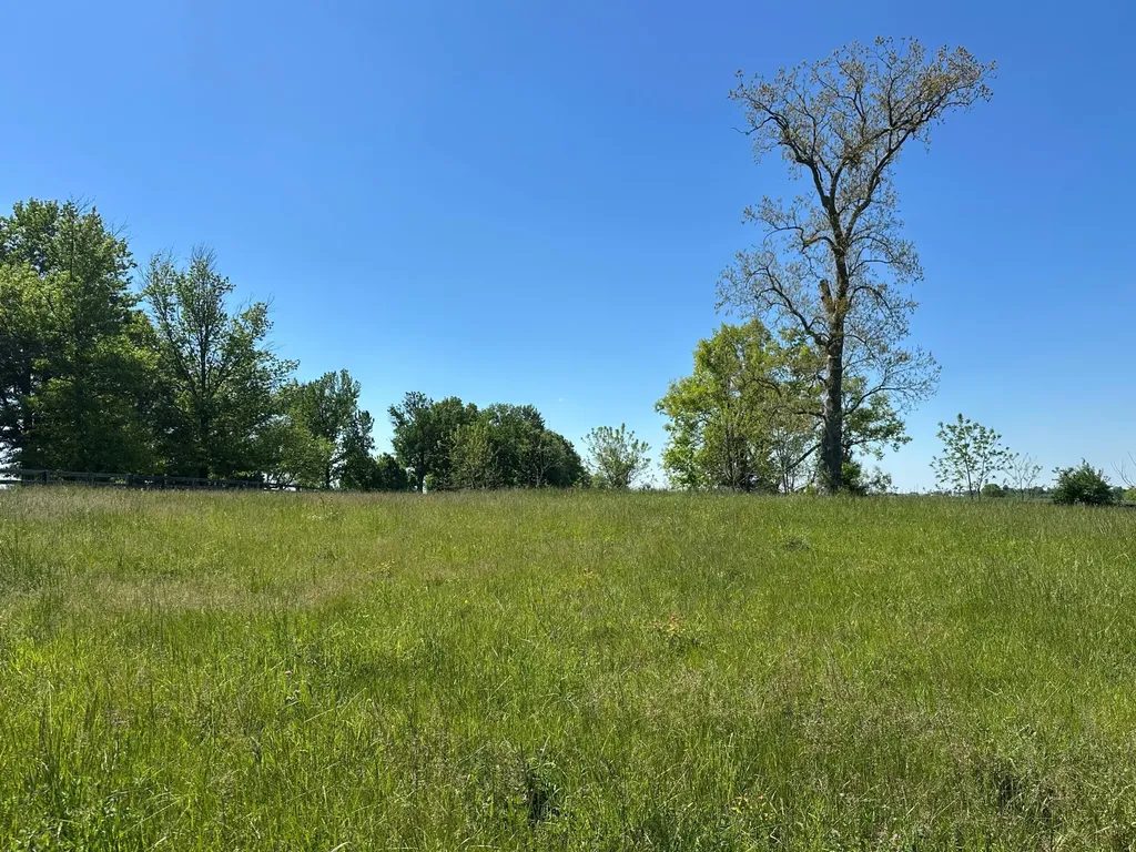 5.2 Acres On Carrick Pike Georgetown KY 40324