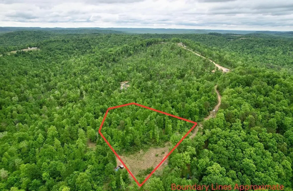 22 Buck Run Ridge Road Monticello KY 42633