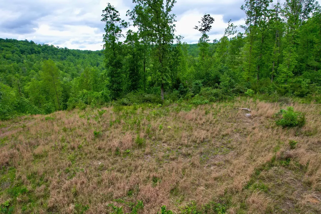 22 Buck Run Ridge Road Monticello KY 42633