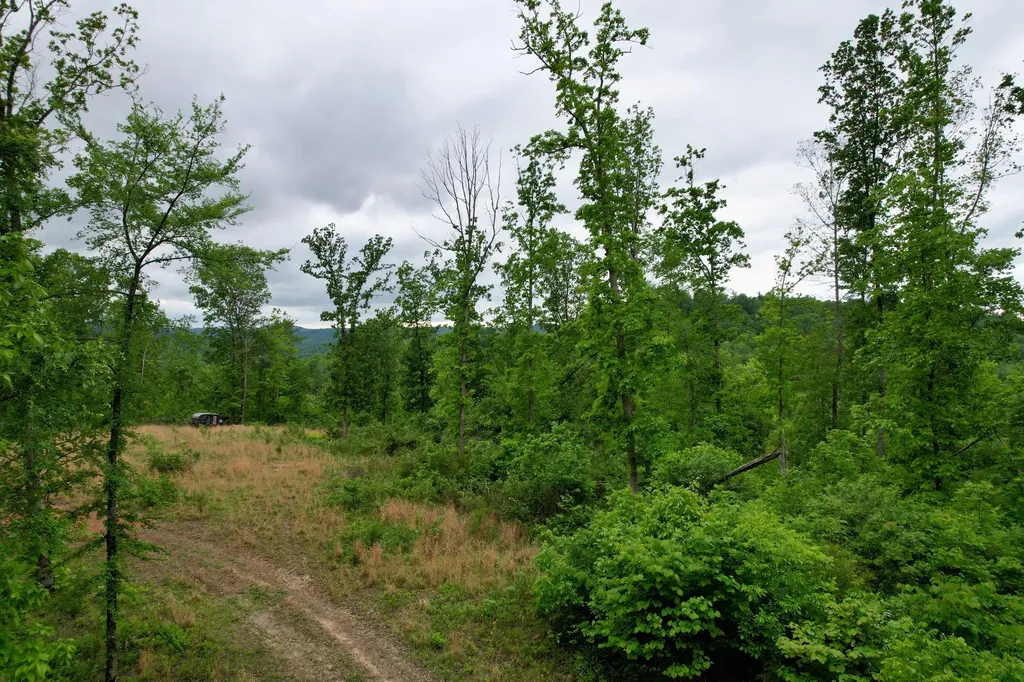 22 Buck Run Ridge Road Monticello KY 42633