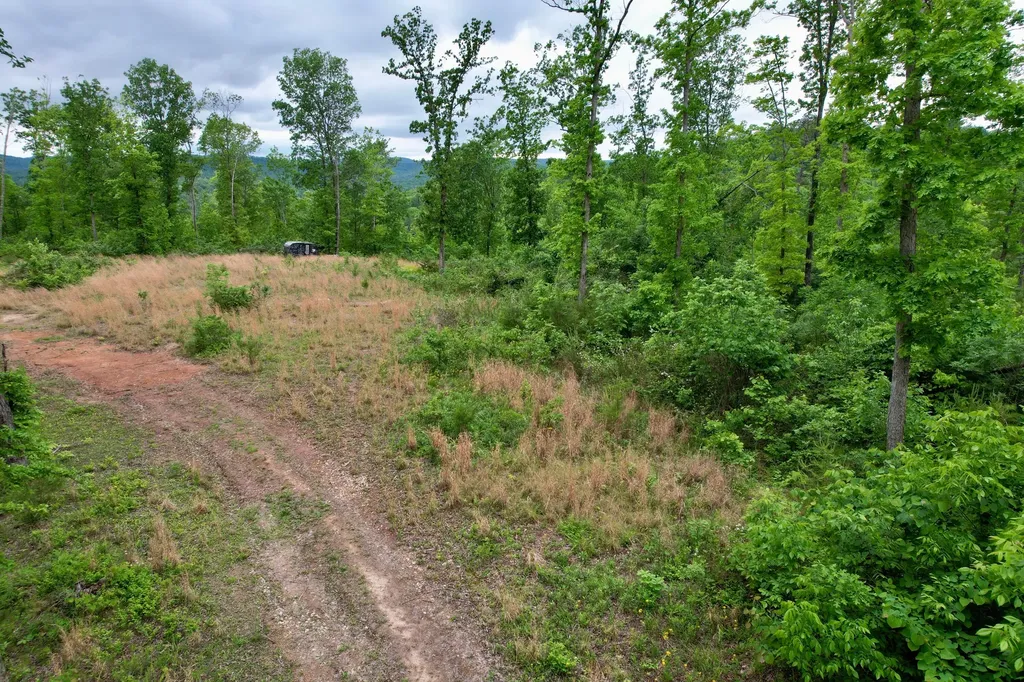 22 Buck Run Ridge Road Monticello KY 42633