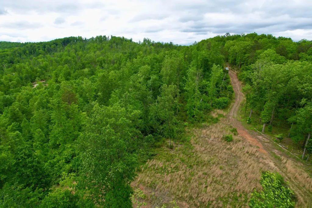22 Buck Run Ridge Road Monticello KY 42633
