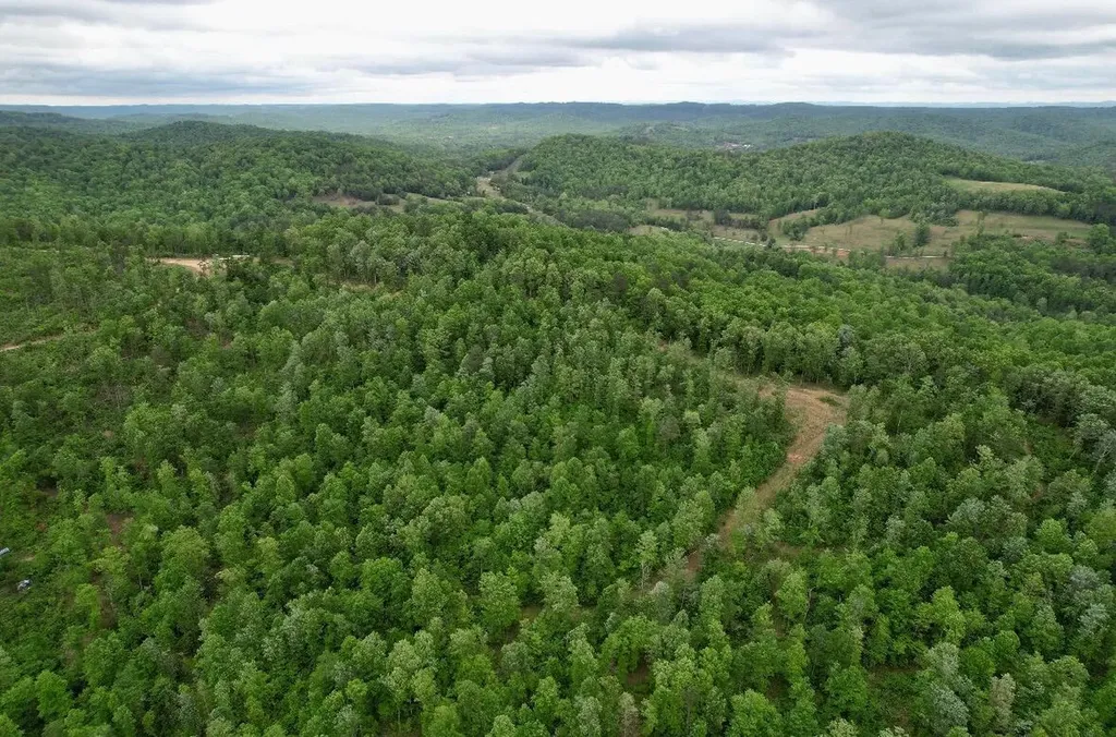 22 Buck Run Ridge Road Monticello KY 42633