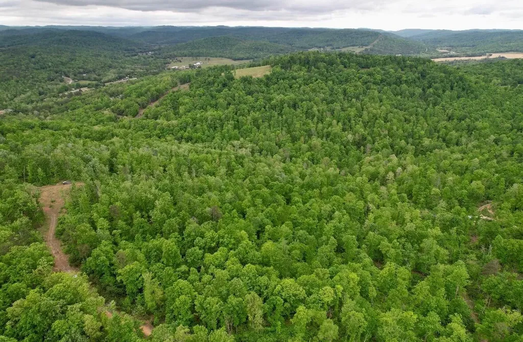 22 Buck Run Ridge Road Monticello KY 42633