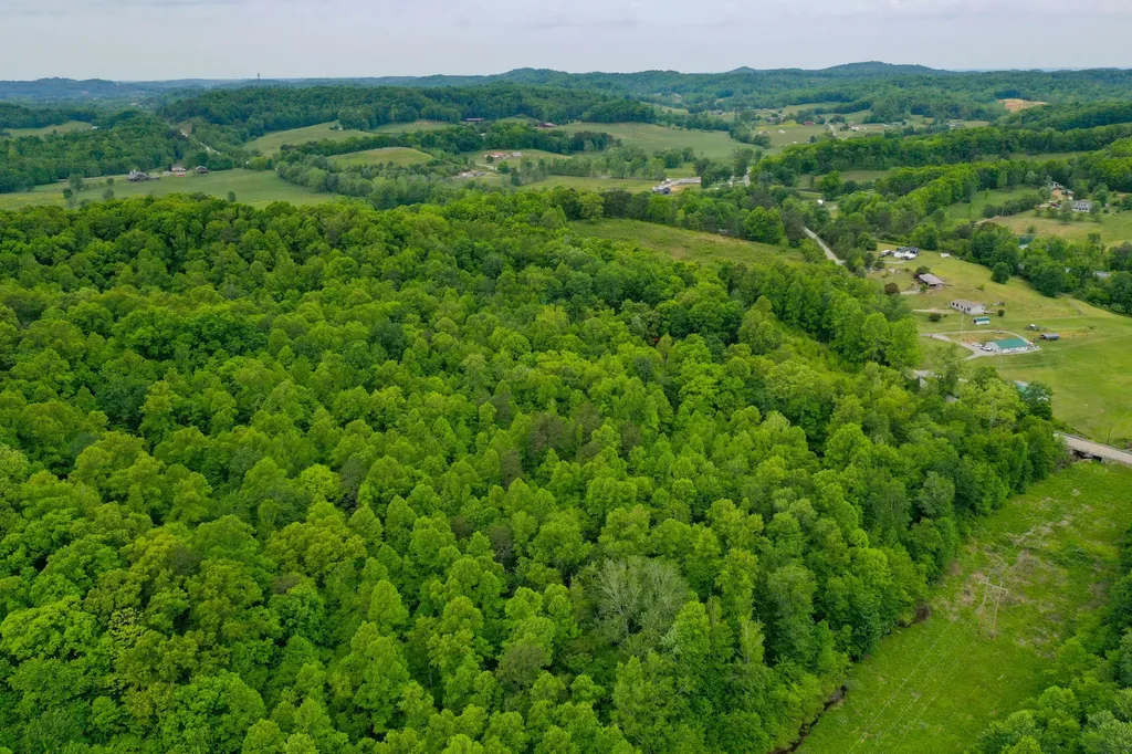 4497 Tom Cat Trail London KY 40741