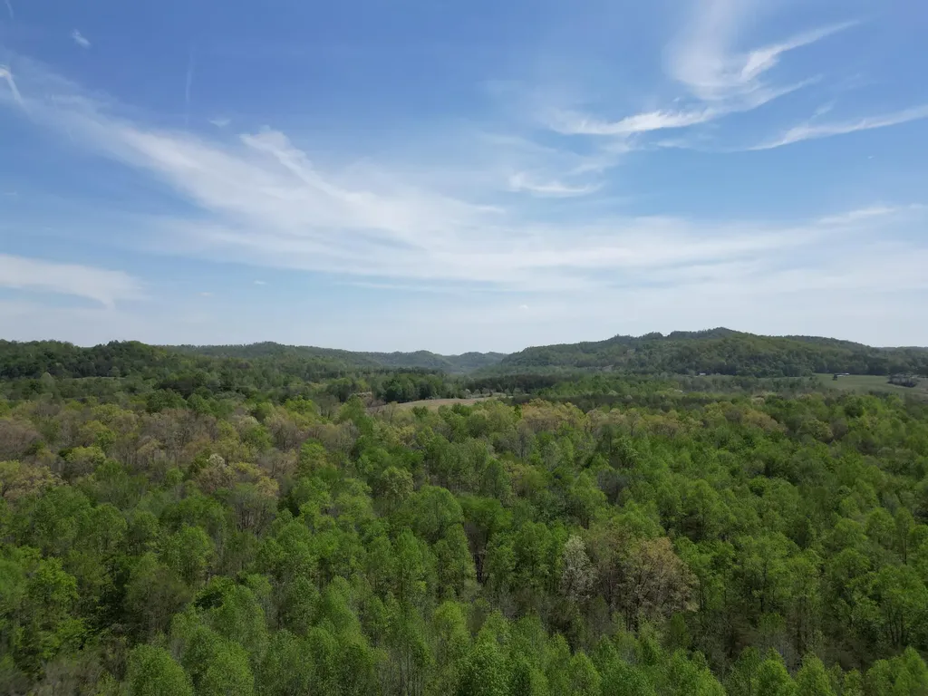9999 Lot-mud Creek Road Williamsburg KY 40769