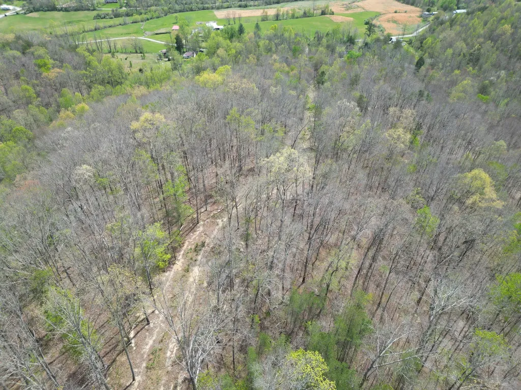 9999 Lot-mud Creek Road Williamsburg KY 40769