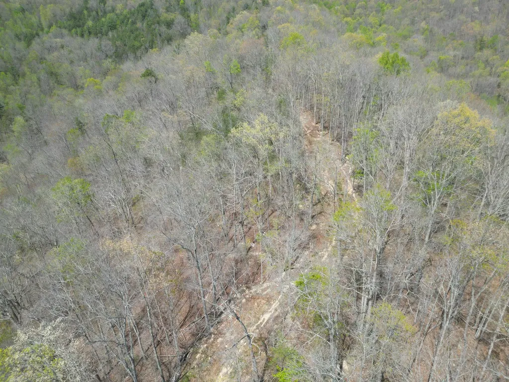 9999 Lot-mud Creek Road Williamsburg KY 40769