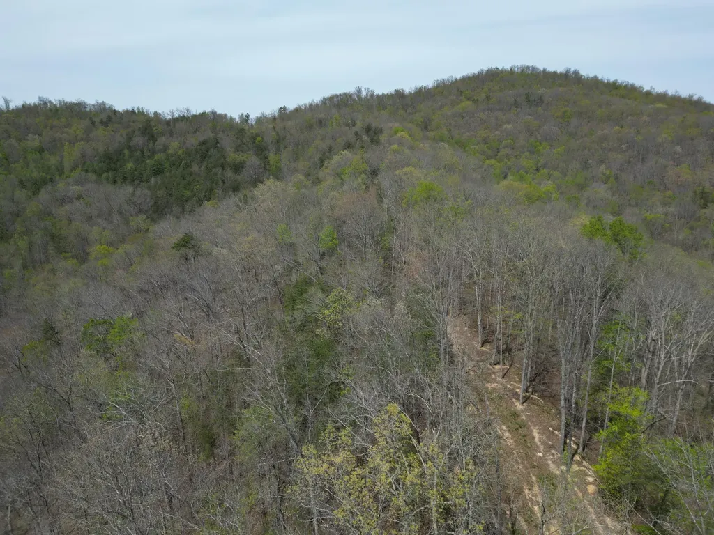 9999 Lot-mud Creek Road Williamsburg KY 40769