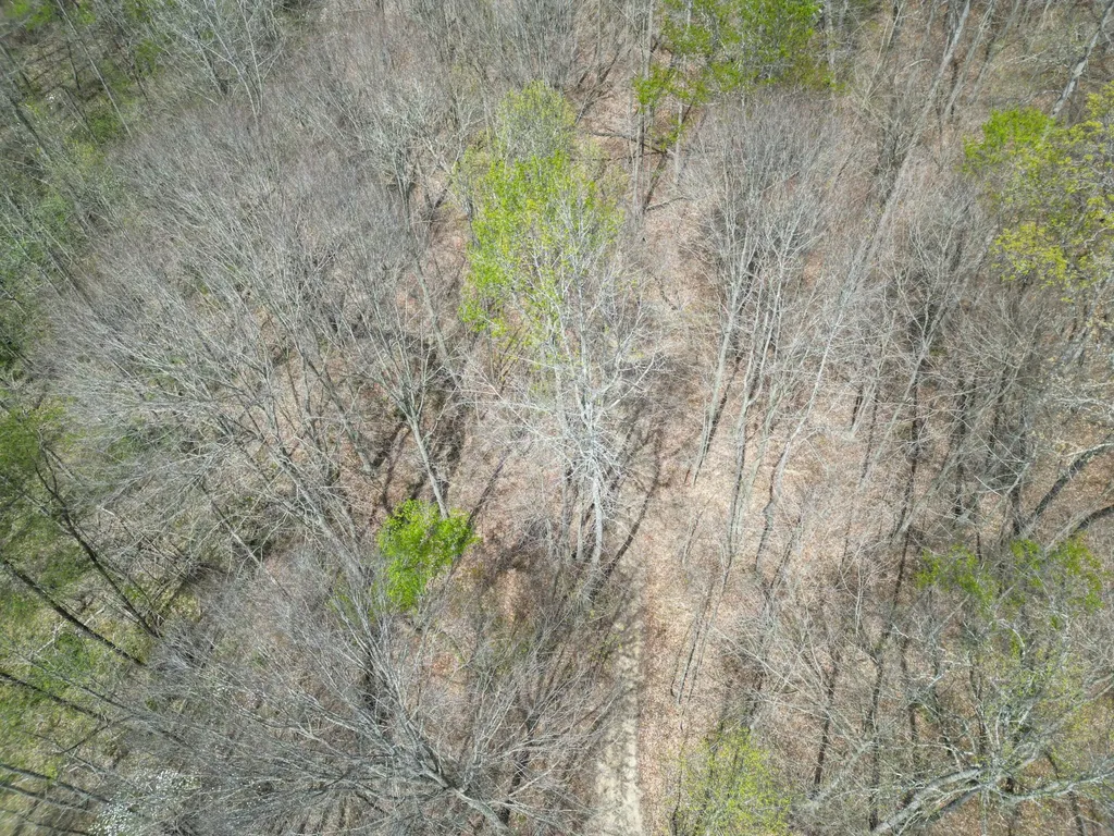 9999 Lot-mud Creek Road Williamsburg KY 40769