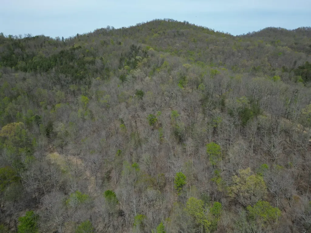 9999 Lot-mud Creek Road Williamsburg KY 40769