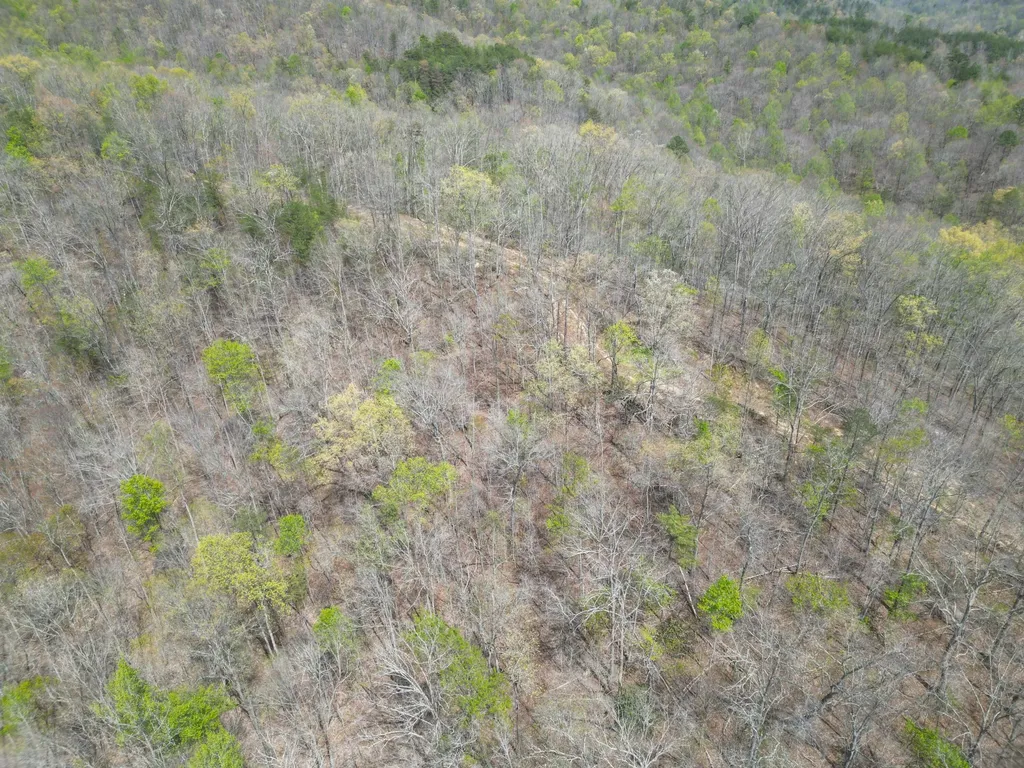 9999 Lot-mud Creek Road Williamsburg KY 40769