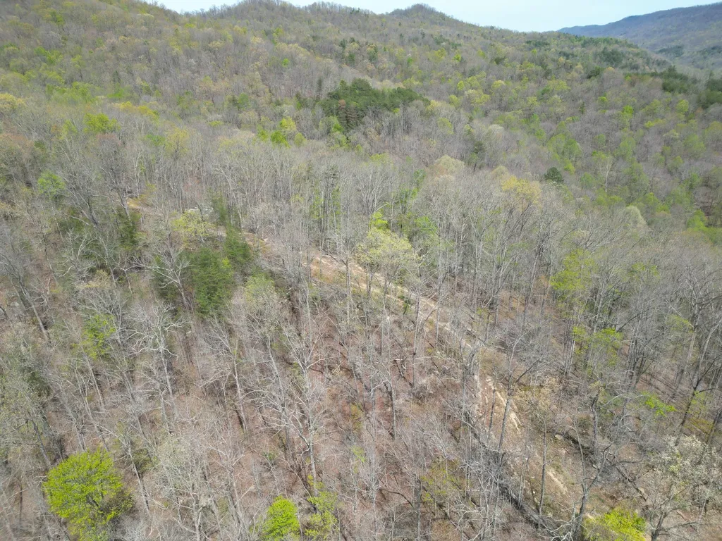 9999 Lot-mud Creek Road Williamsburg KY 40769