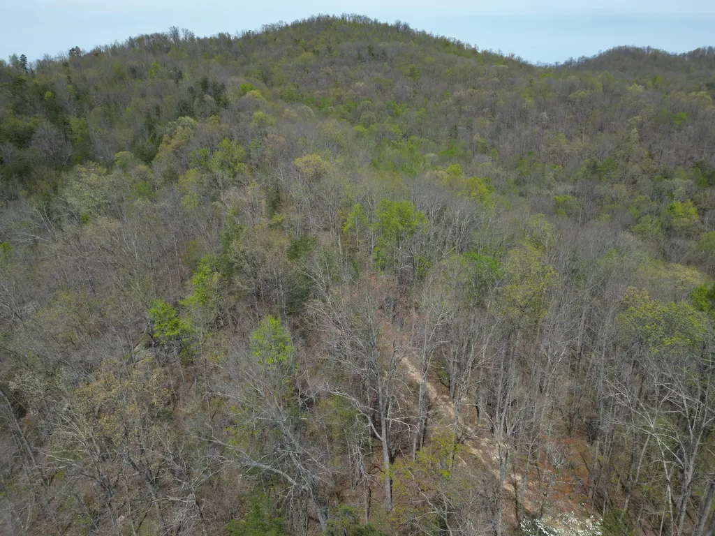 9999 Lot-mud Creek Road Williamsburg KY 40769