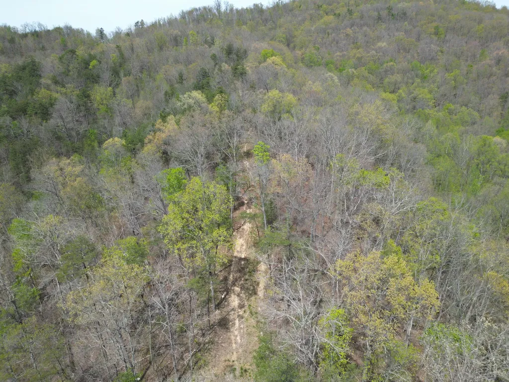 9999 Lot-mud Creek Road Williamsburg KY 40769