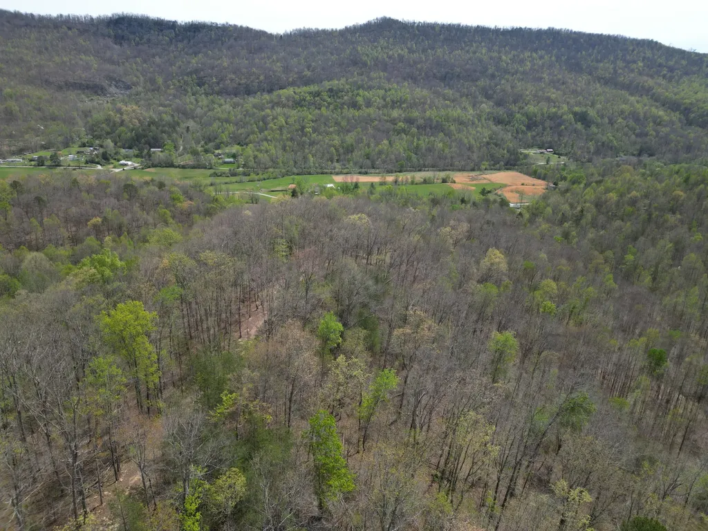 9999 Lot-mud Creek Road Williamsburg KY 40769