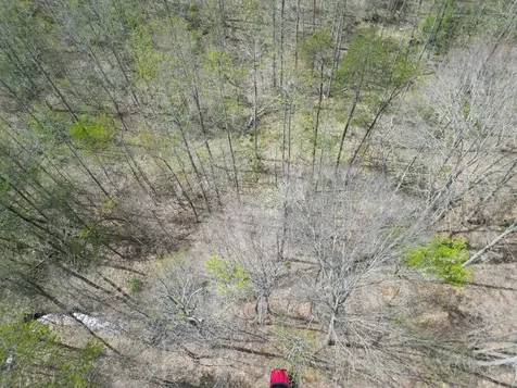 9999 Lot-mud Creek Road Williamsburg KY 40769