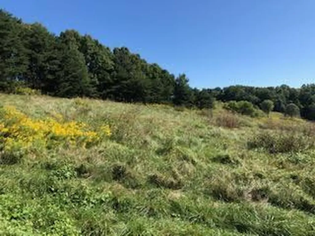 14 Lakepoint View Road Monticello KY 42633