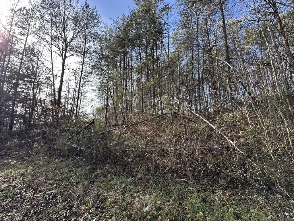 0 Hemlock Subdivision Road Williamsburg KY 40769