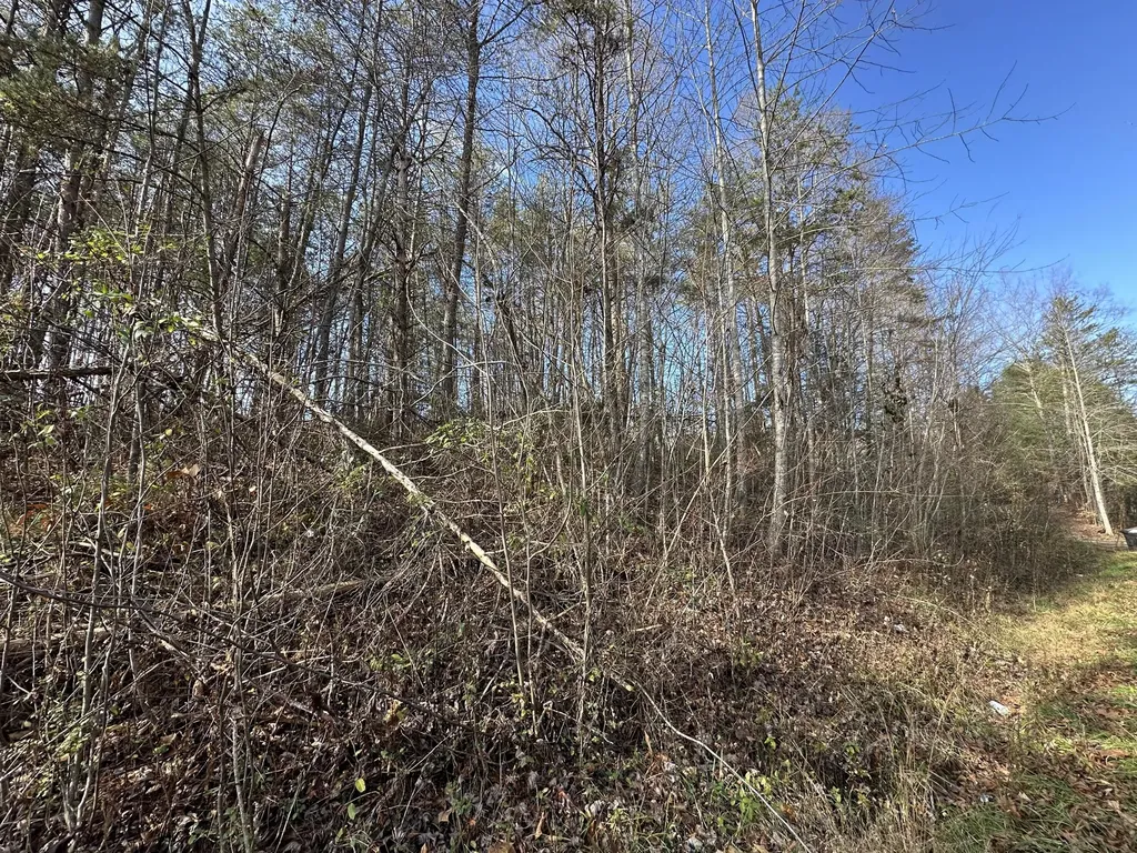 0 Hemlock Subdivision Road Williamsburg KY 40769