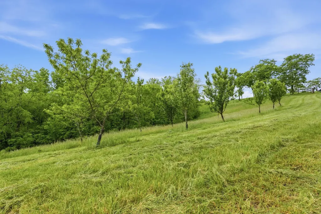 2771 Baker Ridge Road Willisburg KY 40078
