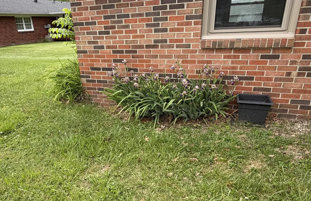 105 Geneva Avenue Irvine KY 40336