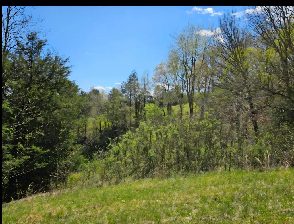 9999 S. Highway 127 Dunnville S Highway 127 Loop Dunnville KY 42528