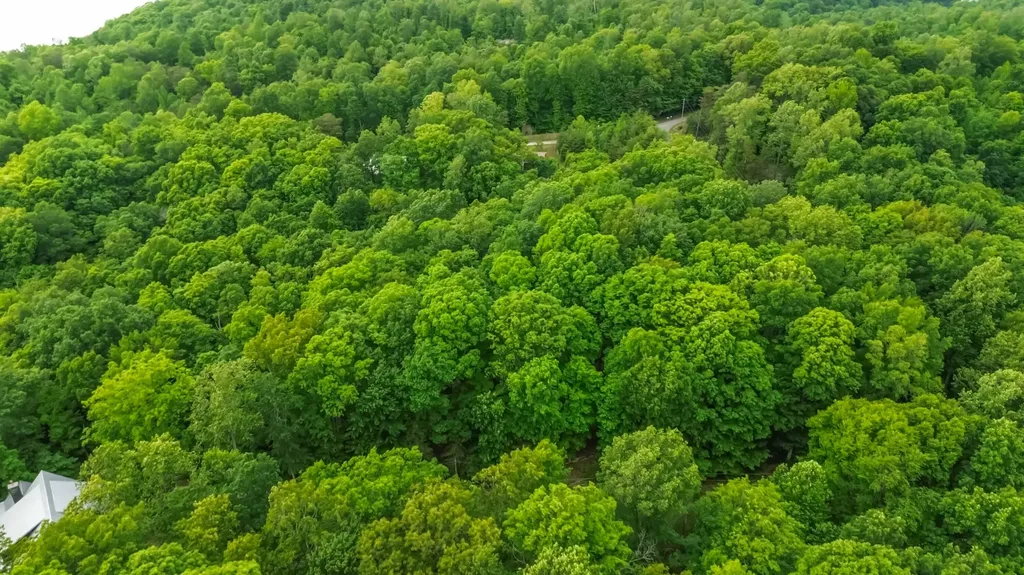 280 Timber Ridge Road Nancy KY 42544