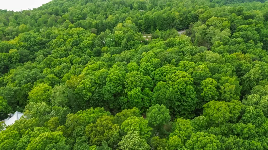 280 Timber Ridge Road Nancy KY 42544