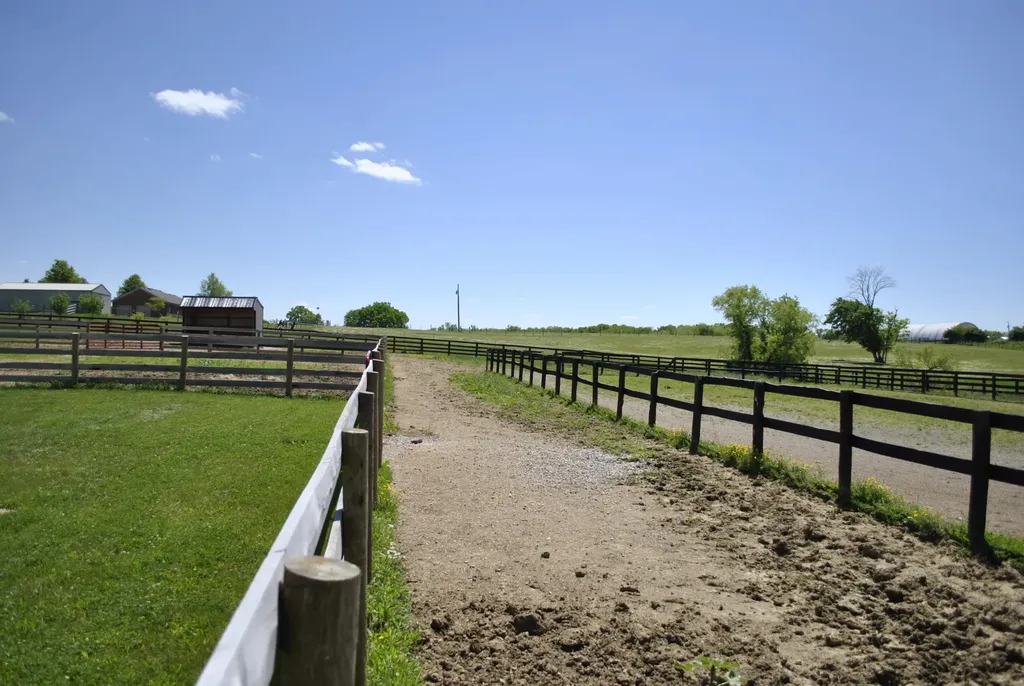 337 Collins Road Paris KY 40361
