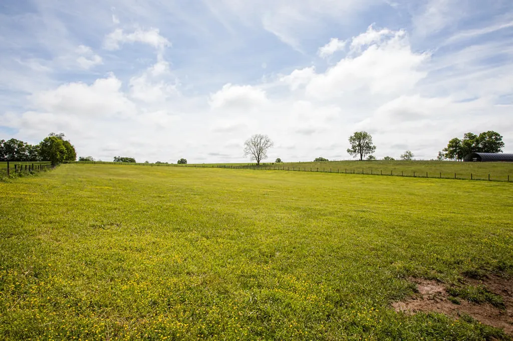 1569 Newtown Pike Georgetown KY 40324